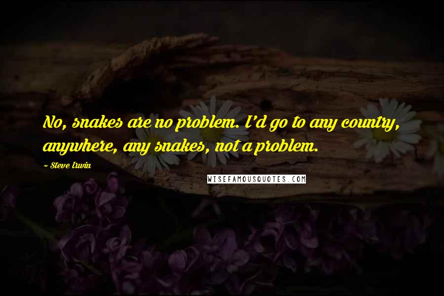 Steve Irwin Quotes: No, snakes are no problem. I'd go to any country, anywhere, any snakes, not a problem.