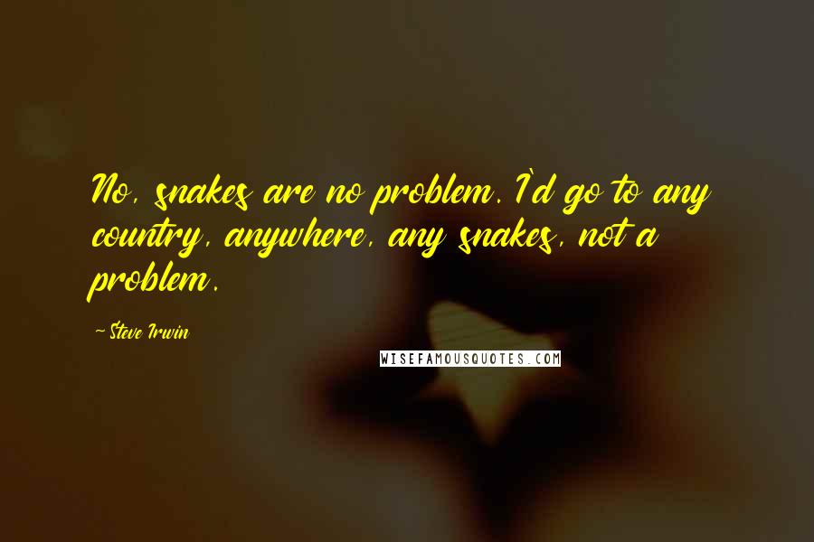 Steve Irwin Quotes: No, snakes are no problem. I'd go to any country, anywhere, any snakes, not a problem.