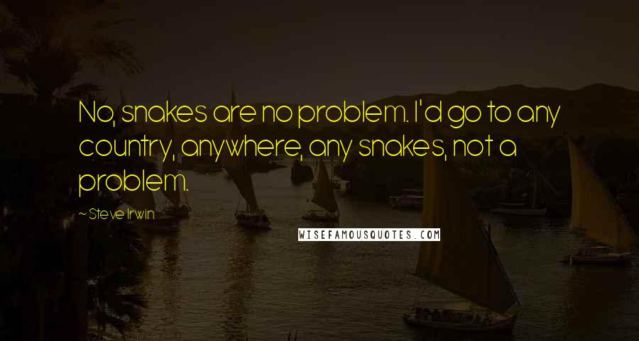 Steve Irwin Quotes: No, snakes are no problem. I'd go to any country, anywhere, any snakes, not a problem.