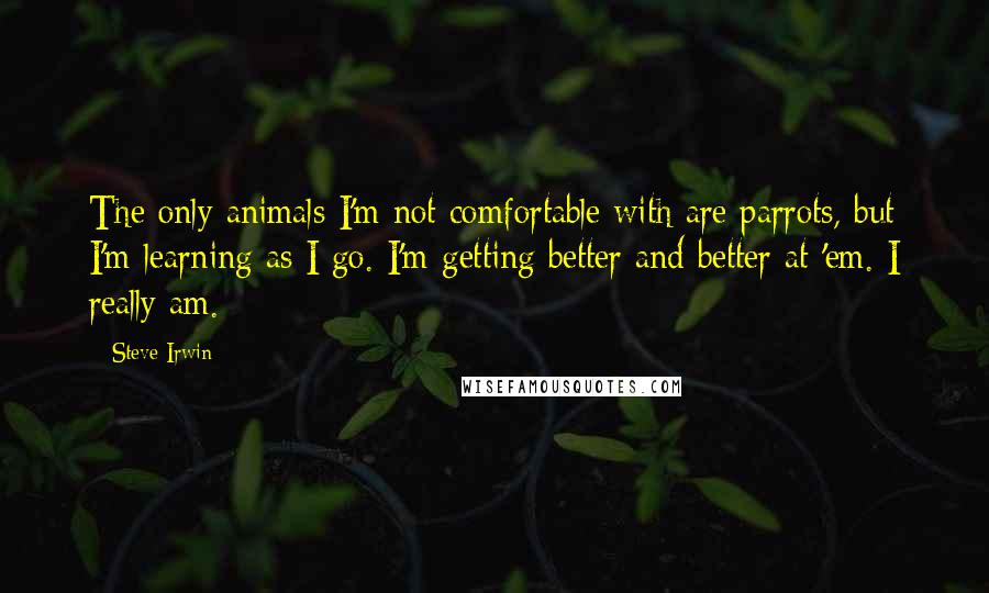 Steve Irwin Quotes: The only animals I'm not comfortable with are parrots, but I'm learning as I go. I'm getting better and better at 'em. I really am.