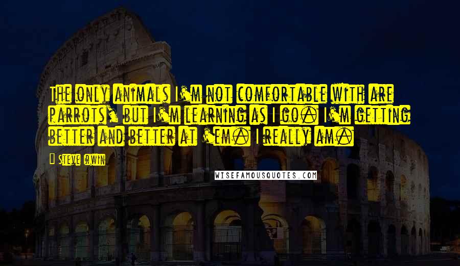 Steve Irwin Quotes: The only animals I'm not comfortable with are parrots, but I'm learning as I go. I'm getting better and better at 'em. I really am.