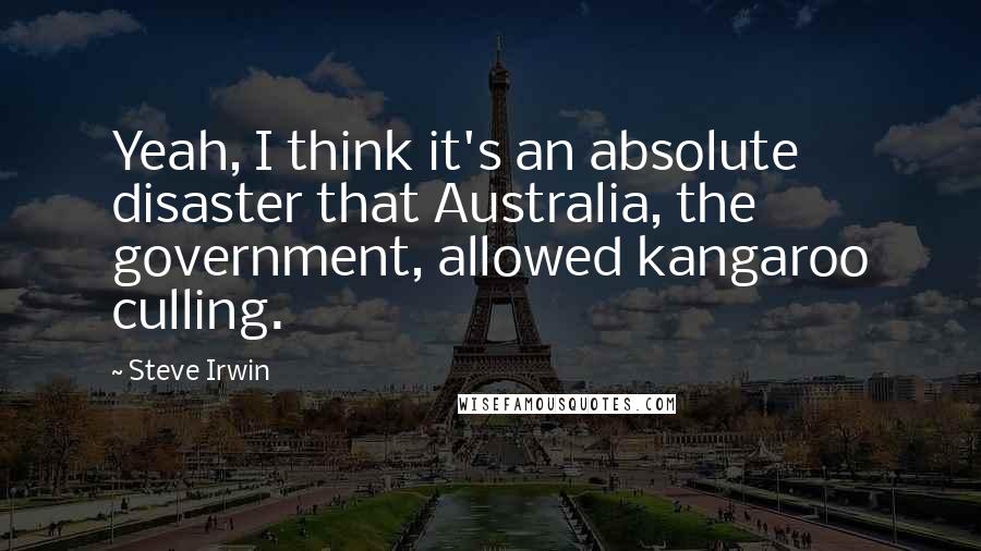 Steve Irwin Quotes: Yeah, I think it's an absolute disaster that Australia, the government, allowed kangaroo culling.