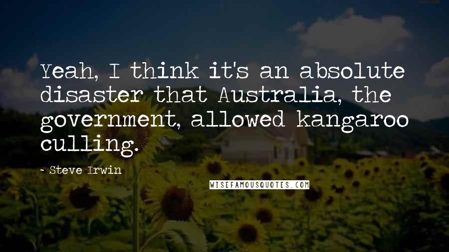 Steve Irwin Quotes: Yeah, I think it's an absolute disaster that Australia, the government, allowed kangaroo culling.