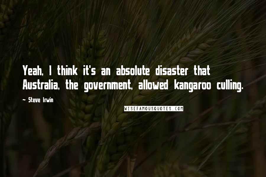 Steve Irwin Quotes: Yeah, I think it's an absolute disaster that Australia, the government, allowed kangaroo culling.