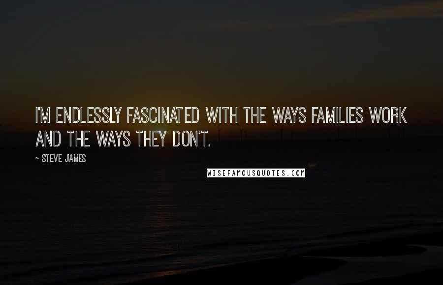 Steve James Quotes: I'm endlessly fascinated with the ways families work and the ways they don't.