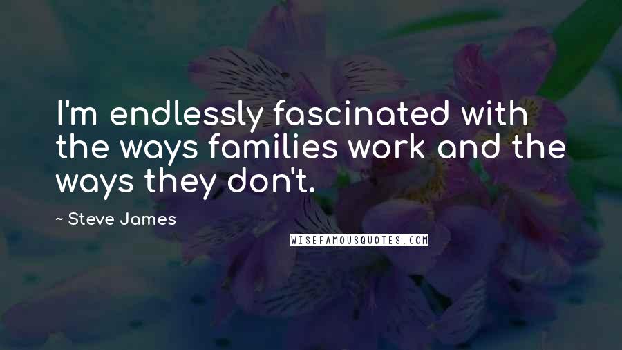 Steve James Quotes: I'm endlessly fascinated with the ways families work and the ways they don't.