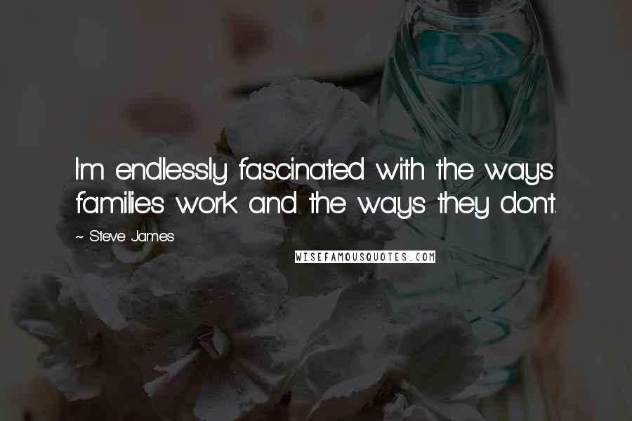 Steve James Quotes: I'm endlessly fascinated with the ways families work and the ways they don't.