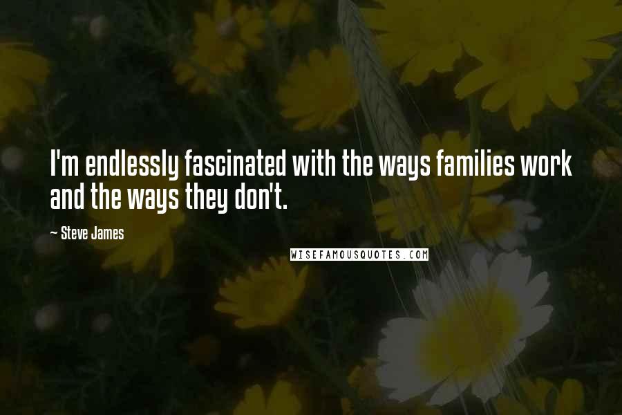Steve James Quotes: I'm endlessly fascinated with the ways families work and the ways they don't.