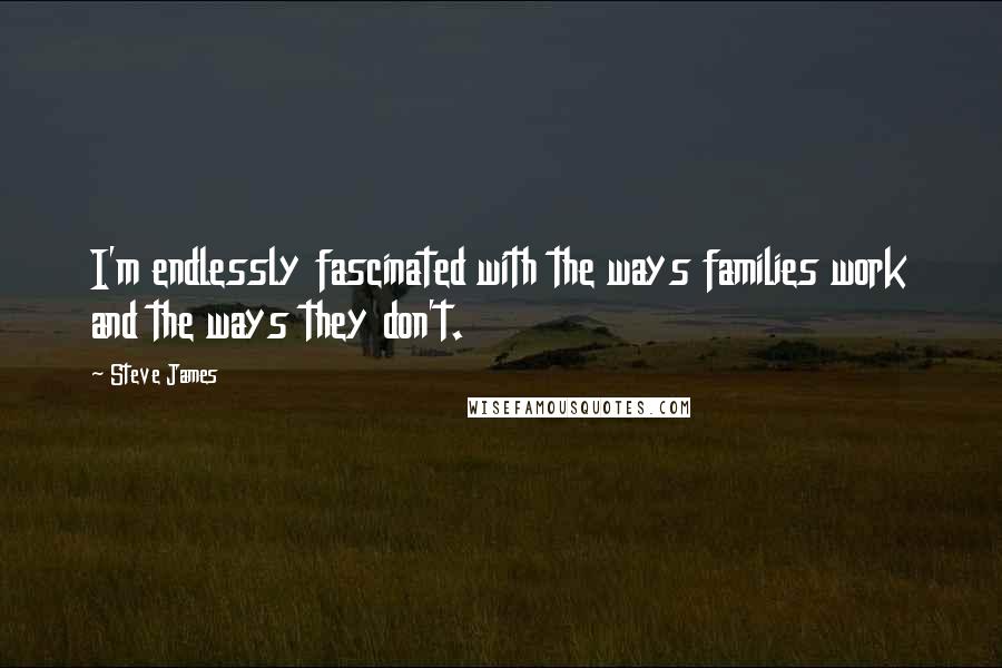 Steve James Quotes: I'm endlessly fascinated with the ways families work and the ways they don't.