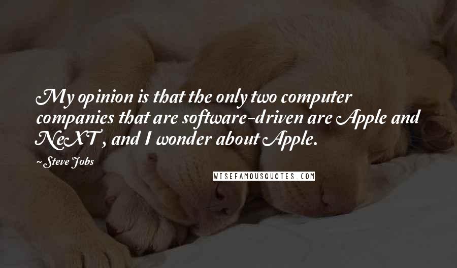 Steve Jobs Quotes: My opinion is that the only two computer companies that are software-driven are Apple and NeXT , and I wonder about Apple.