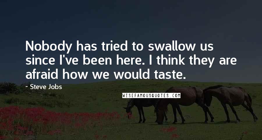 Steve Jobs Quotes: Nobody has tried to swallow us since I've been here. I think they are afraid how we would taste.