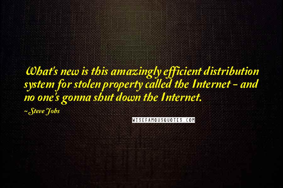 Steve Jobs Quotes: What's new is this amazingly efficient distribution system for stolen property called the Internet - and no one's gonna shut down the Internet.