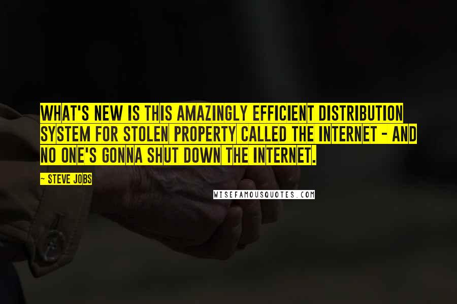Steve Jobs Quotes: What's new is this amazingly efficient distribution system for stolen property called the Internet - and no one's gonna shut down the Internet.