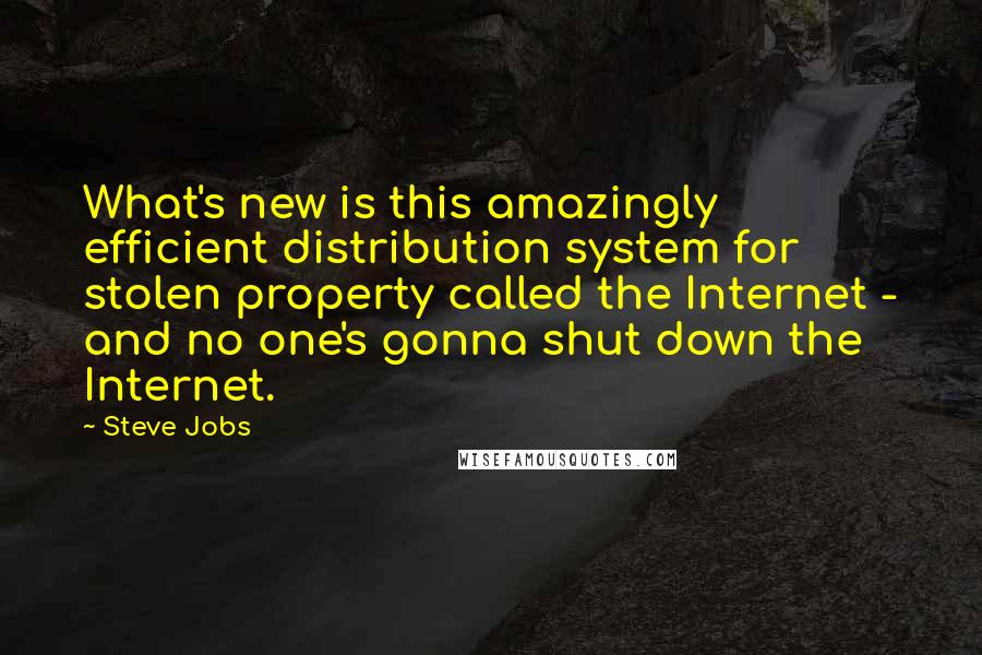 Steve Jobs Quotes: What's new is this amazingly efficient distribution system for stolen property called the Internet - and no one's gonna shut down the Internet.
