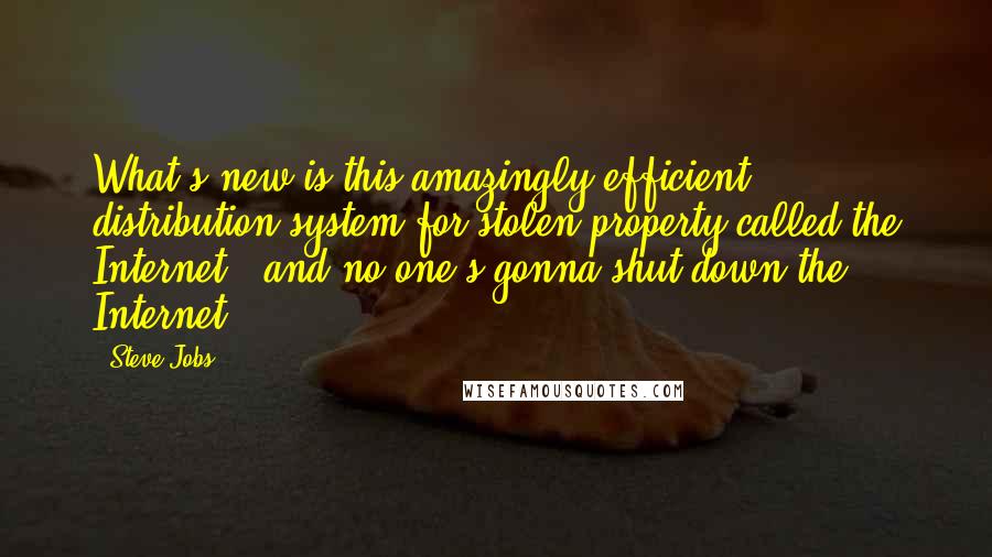 Steve Jobs Quotes: What's new is this amazingly efficient distribution system for stolen property called the Internet - and no one's gonna shut down the Internet.