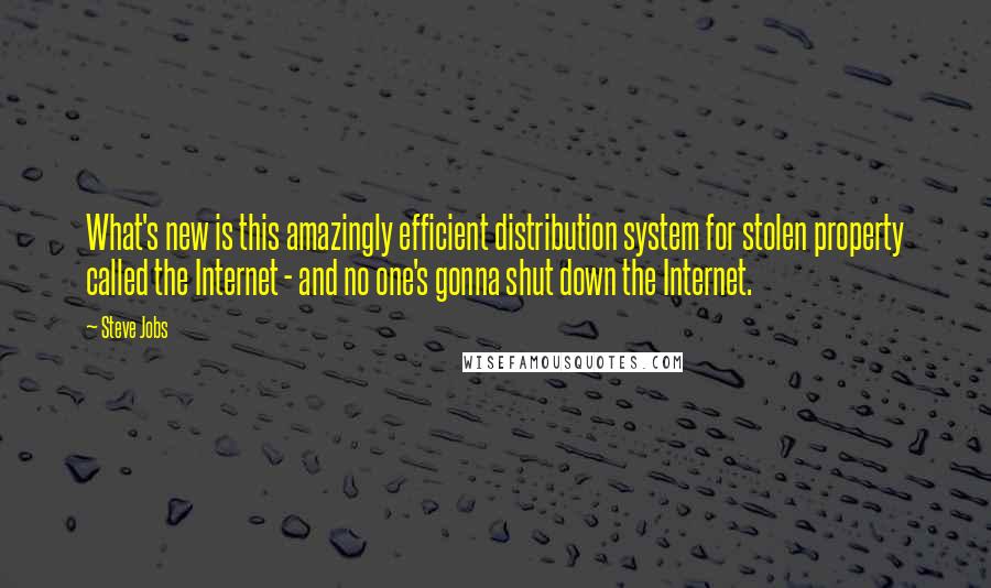 Steve Jobs Quotes: What's new is this amazingly efficient distribution system for stolen property called the Internet - and no one's gonna shut down the Internet.