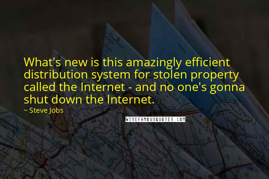 Steve Jobs Quotes: What's new is this amazingly efficient distribution system for stolen property called the Internet - and no one's gonna shut down the Internet.