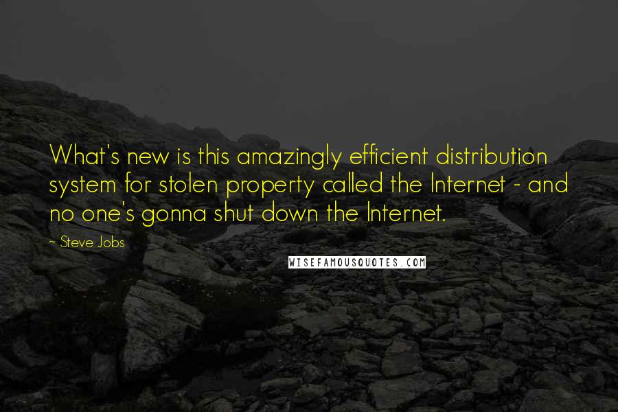 Steve Jobs Quotes: What's new is this amazingly efficient distribution system for stolen property called the Internet - and no one's gonna shut down the Internet.