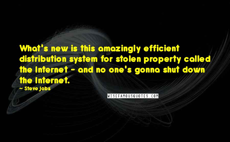 Steve Jobs Quotes: What's new is this amazingly efficient distribution system for stolen property called the Internet - and no one's gonna shut down the Internet.