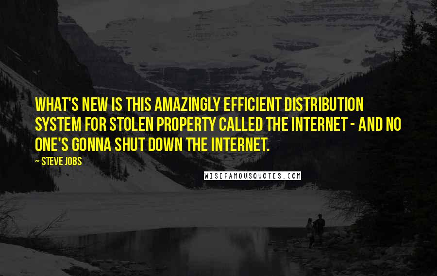 Steve Jobs Quotes: What's new is this amazingly efficient distribution system for stolen property called the Internet - and no one's gonna shut down the Internet.