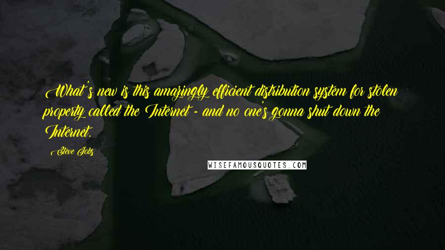 Steve Jobs Quotes: What's new is this amazingly efficient distribution system for stolen property called the Internet - and no one's gonna shut down the Internet.