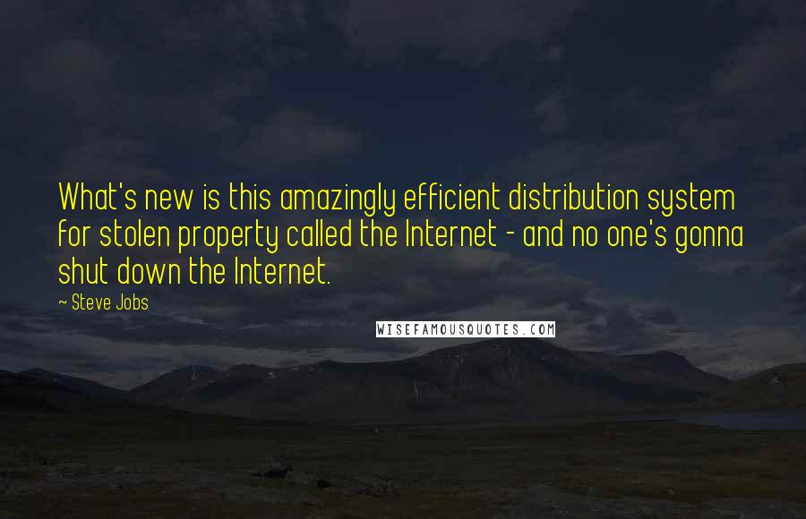Steve Jobs Quotes: What's new is this amazingly efficient distribution system for stolen property called the Internet - and no one's gonna shut down the Internet.