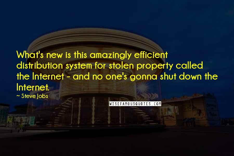 Steve Jobs Quotes: What's new is this amazingly efficient distribution system for stolen property called the Internet - and no one's gonna shut down the Internet.