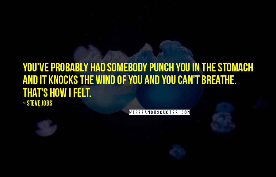 Steve Jobs Quotes: You've probably had somebody punch you in the stomach and it knocks the wind of you and you can't breathe. That's how I felt.
