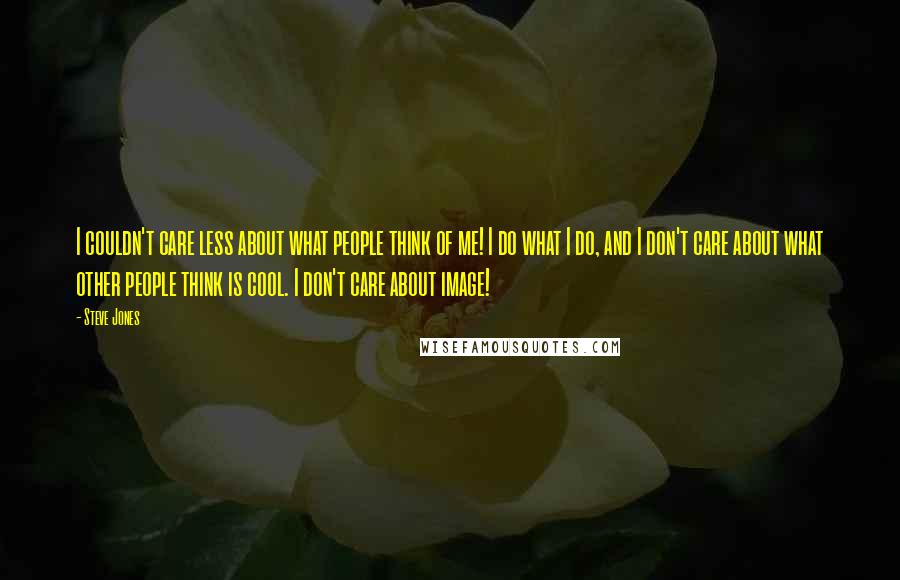 Steve Jones Quotes: I couldn't care less about what people think of me! I do what I do, and I don't care about what other people think is cool. I don't care about image!