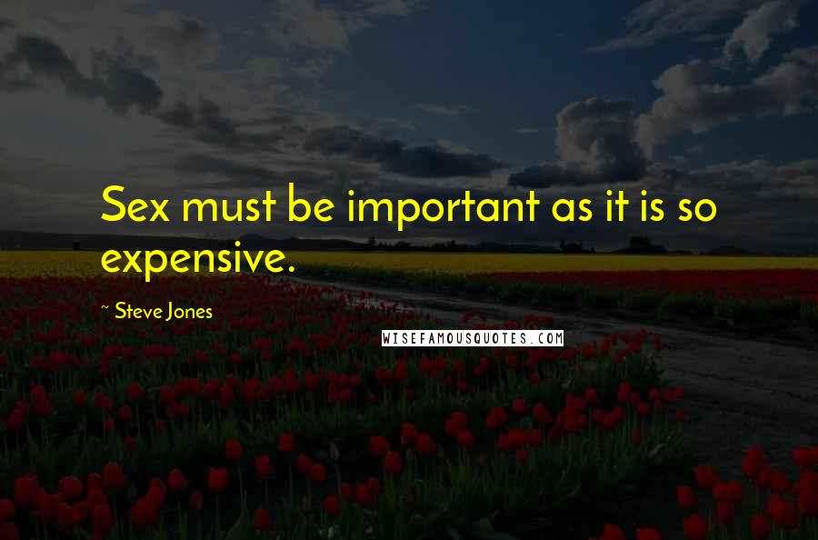 Steve Jones Quotes: Sex must be important as it is so expensive.