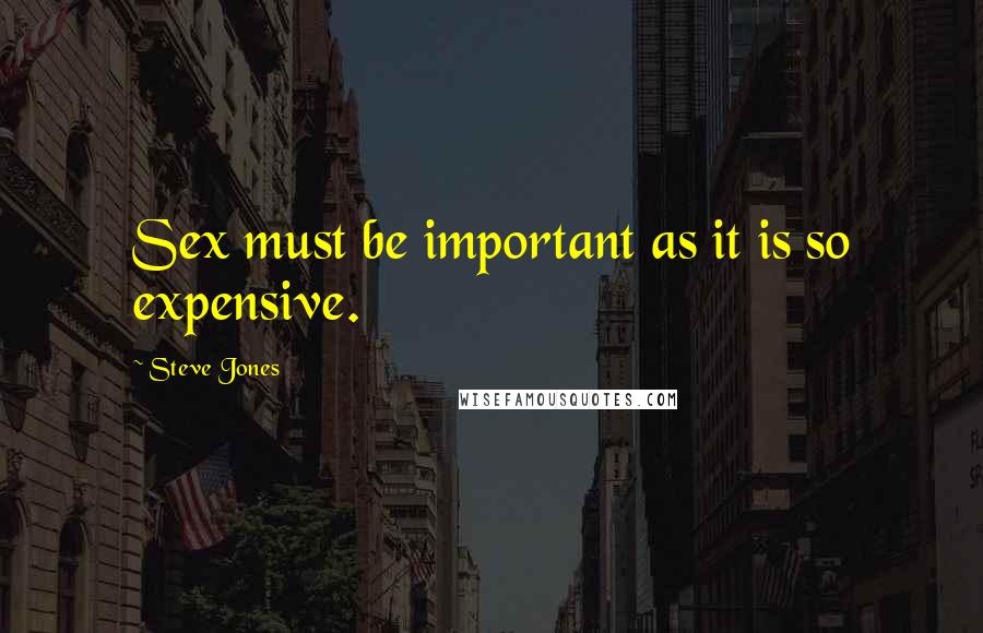 Steve Jones Quotes: Sex must be important as it is so expensive.