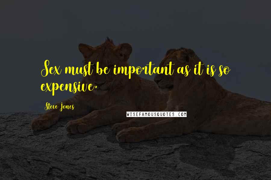 Steve Jones Quotes: Sex must be important as it is so expensive.