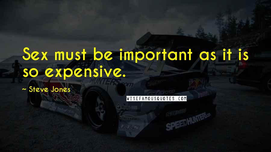 Steve Jones Quotes: Sex must be important as it is so expensive.