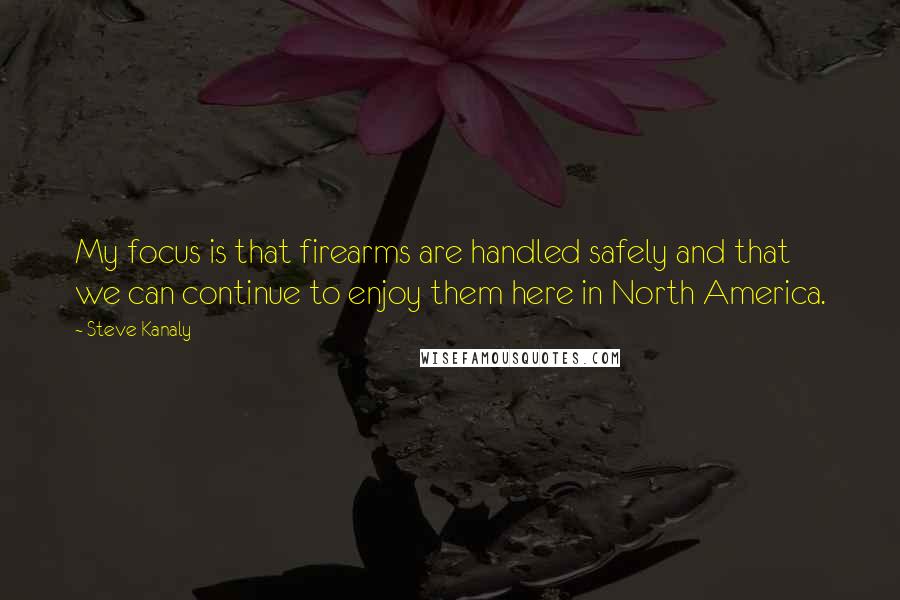 Steve Kanaly Quotes: My focus is that firearms are handled safely and that we can continue to enjoy them here in North America.