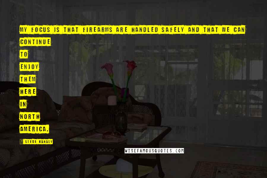 Steve Kanaly Quotes: My focus is that firearms are handled safely and that we can continue to enjoy them here in North America.