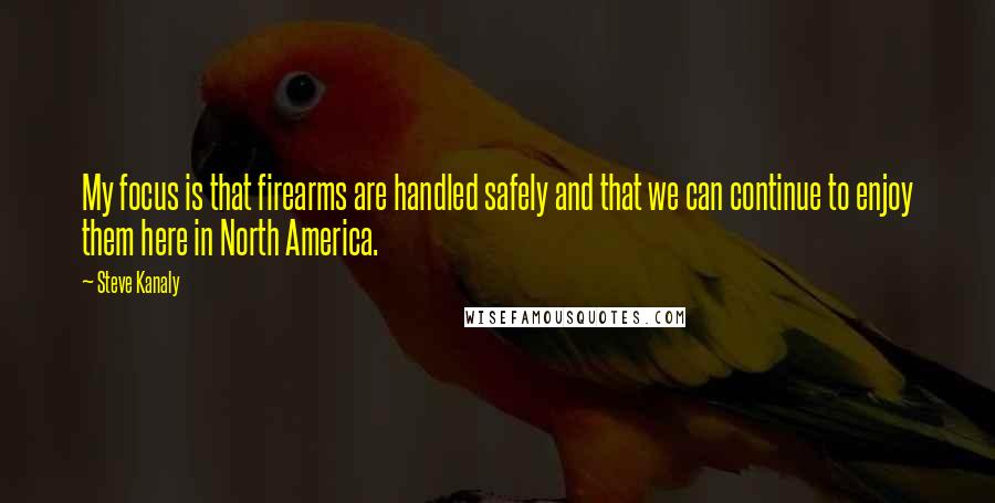 Steve Kanaly Quotes: My focus is that firearms are handled safely and that we can continue to enjoy them here in North America.
