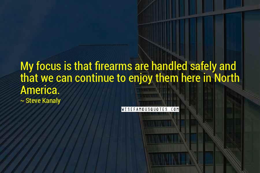 Steve Kanaly Quotes: My focus is that firearms are handled safely and that we can continue to enjoy them here in North America.