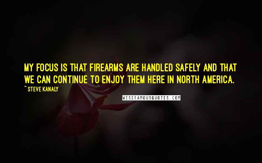 Steve Kanaly Quotes: My focus is that firearms are handled safely and that we can continue to enjoy them here in North America.