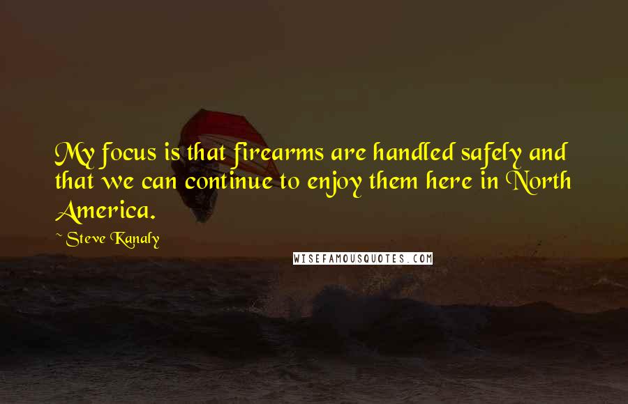Steve Kanaly Quotes: My focus is that firearms are handled safely and that we can continue to enjoy them here in North America.