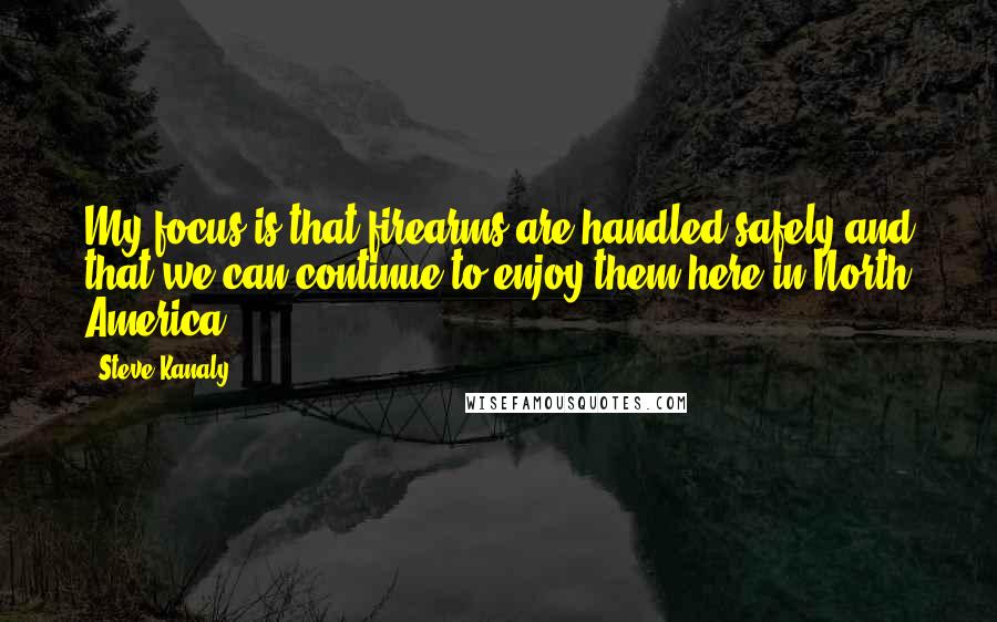 Steve Kanaly Quotes: My focus is that firearms are handled safely and that we can continue to enjoy them here in North America.