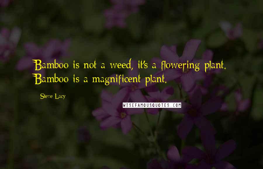 Steve Lacy Quotes: Bamboo is not a weed, it's a flowering plant. Bamboo is a magnificent plant.