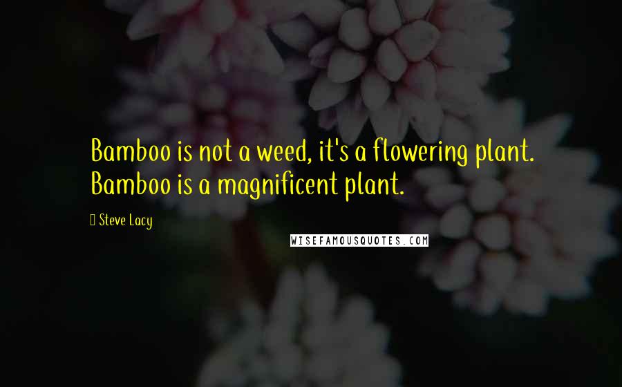 Steve Lacy Quotes: Bamboo is not a weed, it's a flowering plant. Bamboo is a magnificent plant.