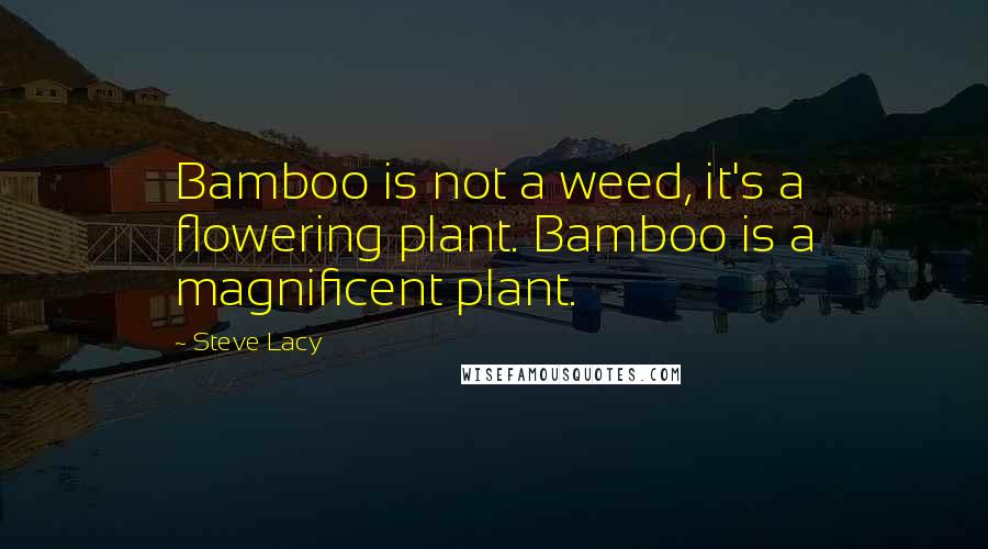 Steve Lacy Quotes: Bamboo is not a weed, it's a flowering plant. Bamboo is a magnificent plant.