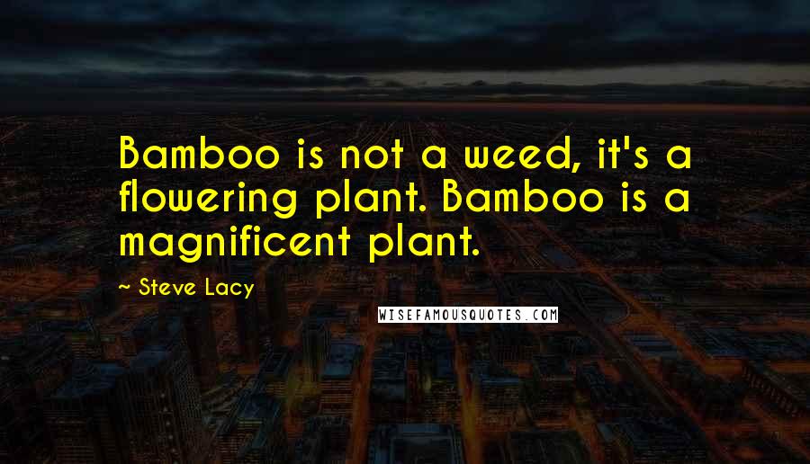 Steve Lacy Quotes: Bamboo is not a weed, it's a flowering plant. Bamboo is a magnificent plant.