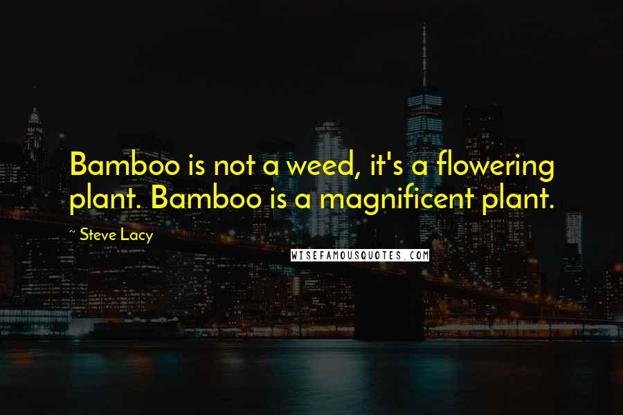 Steve Lacy Quotes: Bamboo is not a weed, it's a flowering plant. Bamboo is a magnificent plant.