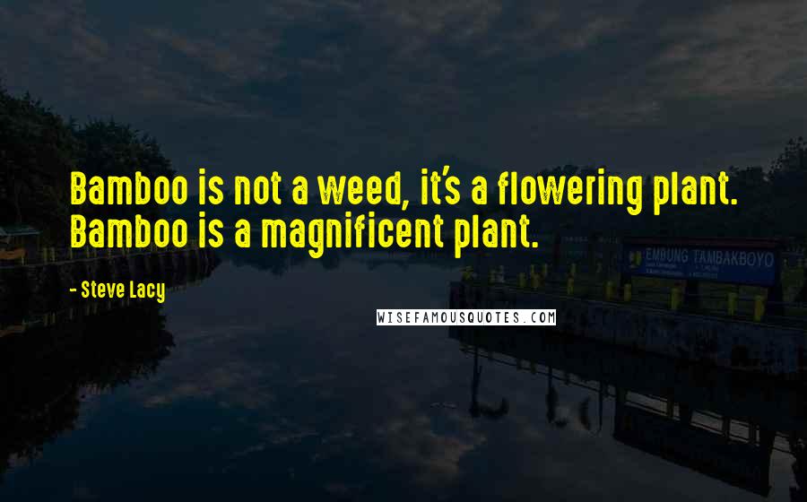 Steve Lacy Quotes: Bamboo is not a weed, it's a flowering plant. Bamboo is a magnificent plant.