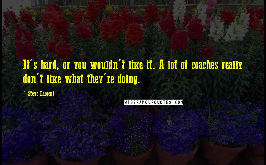 Steve Largent Quotes: It's hard, or you wouldn't like it. A lot of coaches really don't like what they're doing.