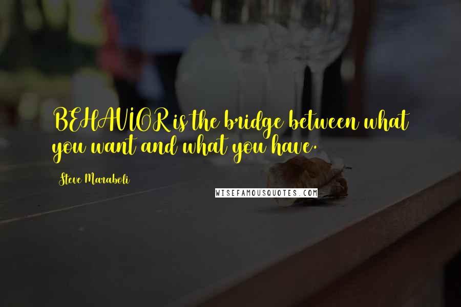 Steve Maraboli Quotes: BEHAVIOR is the bridge between what you want and what you have.