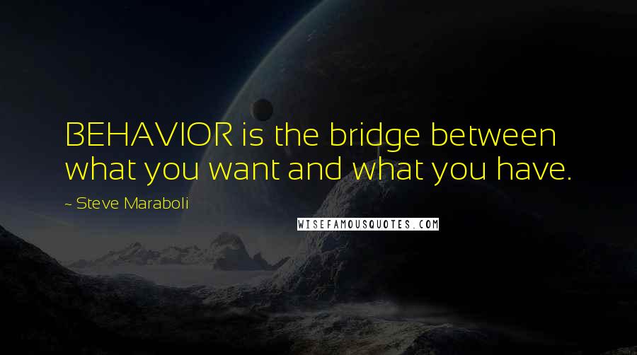 Steve Maraboli Quotes: BEHAVIOR is the bridge between what you want and what you have.