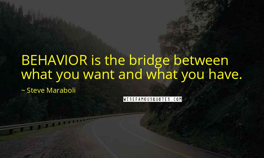 Steve Maraboli Quotes: BEHAVIOR is the bridge between what you want and what you have.